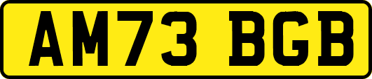 AM73BGB