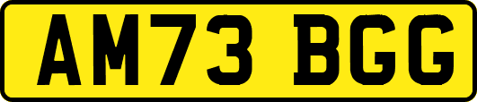 AM73BGG