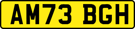 AM73BGH