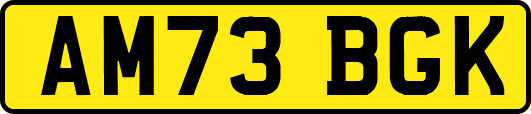 AM73BGK