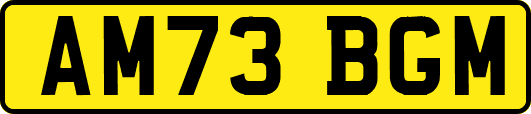 AM73BGM