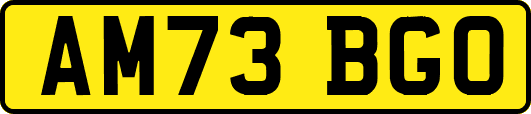 AM73BGO