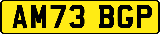 AM73BGP
