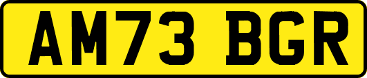 AM73BGR