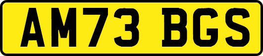 AM73BGS