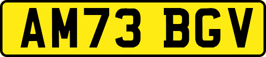 AM73BGV