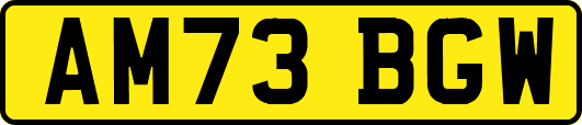 AM73BGW