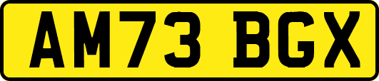 AM73BGX