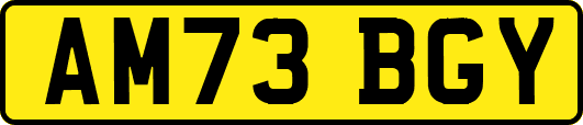 AM73BGY
