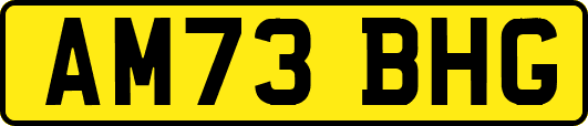 AM73BHG