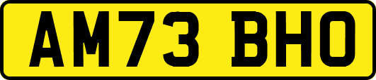 AM73BHO
