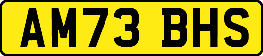 AM73BHS