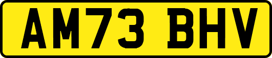 AM73BHV