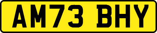 AM73BHY