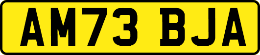 AM73BJA