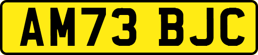 AM73BJC