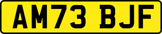AM73BJF
