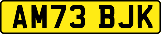 AM73BJK