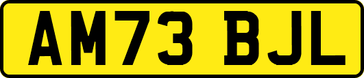 AM73BJL