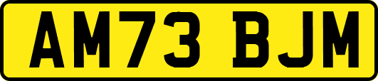 AM73BJM