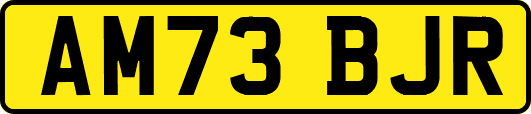 AM73BJR