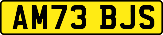 AM73BJS