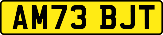 AM73BJT