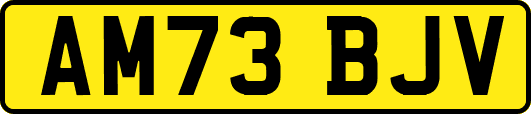 AM73BJV