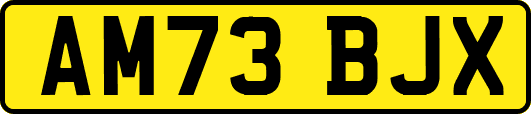 AM73BJX