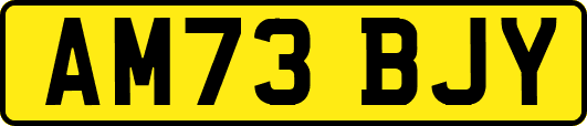 AM73BJY