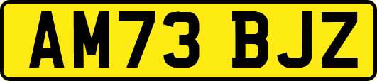AM73BJZ