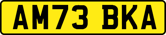 AM73BKA