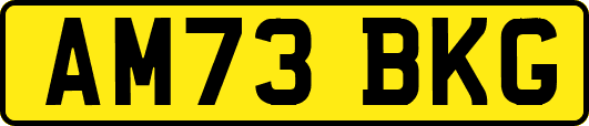 AM73BKG