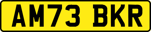 AM73BKR