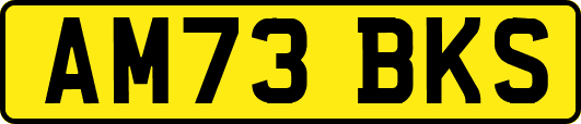 AM73BKS