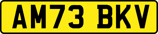 AM73BKV