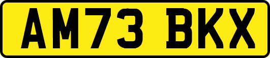 AM73BKX