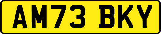 AM73BKY
