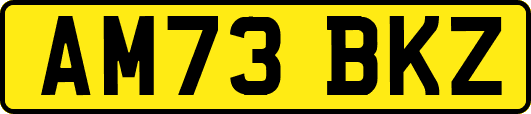 AM73BKZ