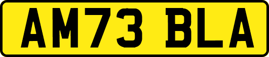 AM73BLA