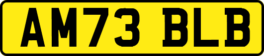 AM73BLB
