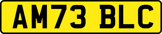 AM73BLC