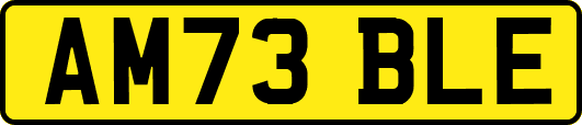 AM73BLE