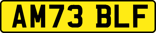 AM73BLF