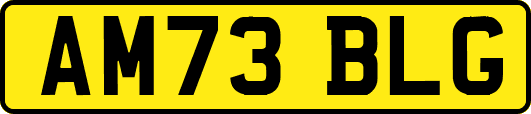 AM73BLG