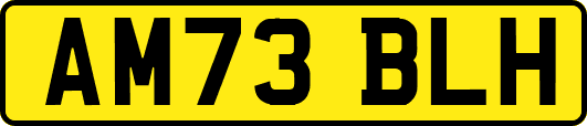 AM73BLH