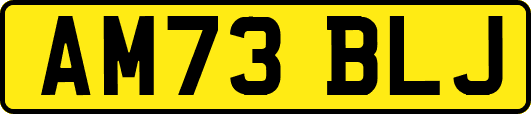 AM73BLJ