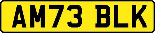 AM73BLK
