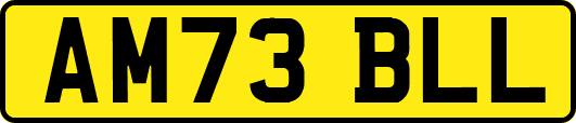 AM73BLL