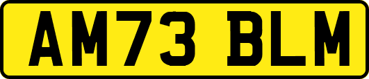 AM73BLM